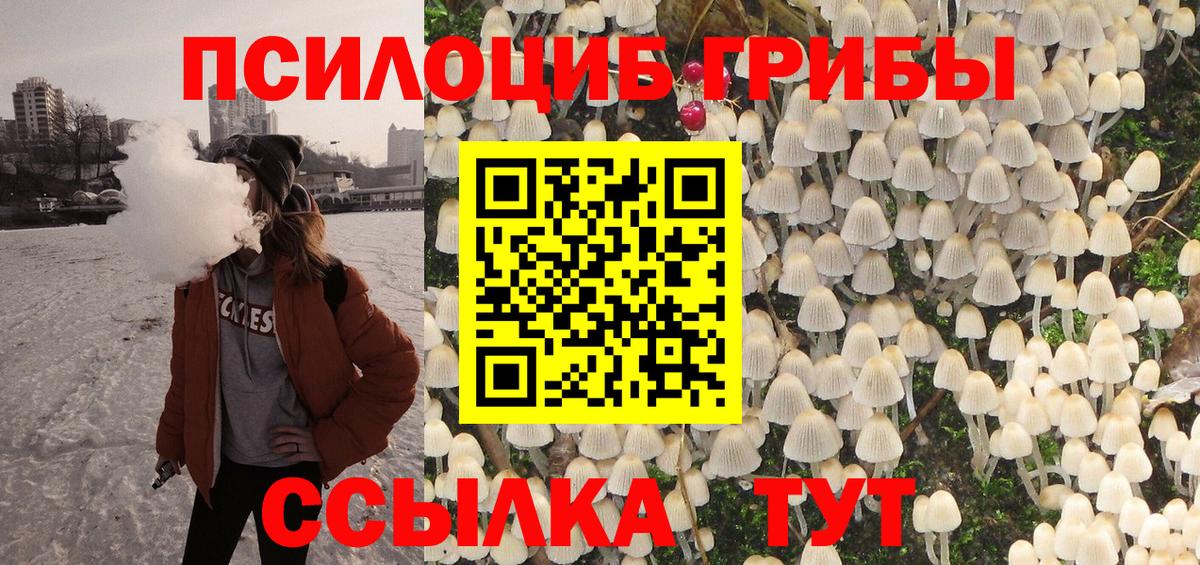Йошкар-Ола  Псилоцибиновые грибы мицелий  Вход с VPN 
