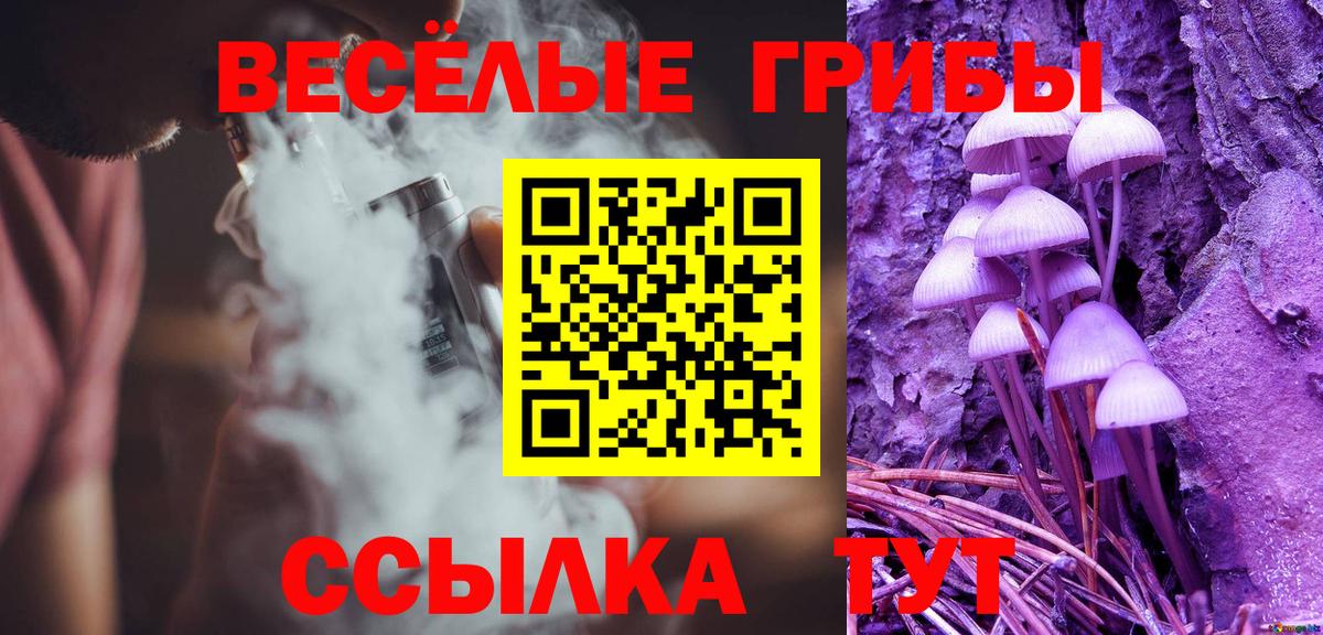 Псилоцибиновые грибы Psilocybe Йошкар-Ола